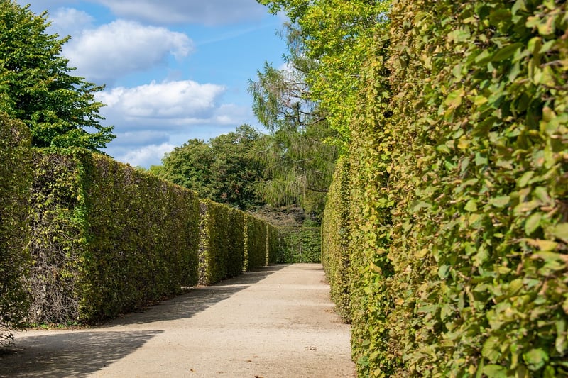 Labyrinth Walks